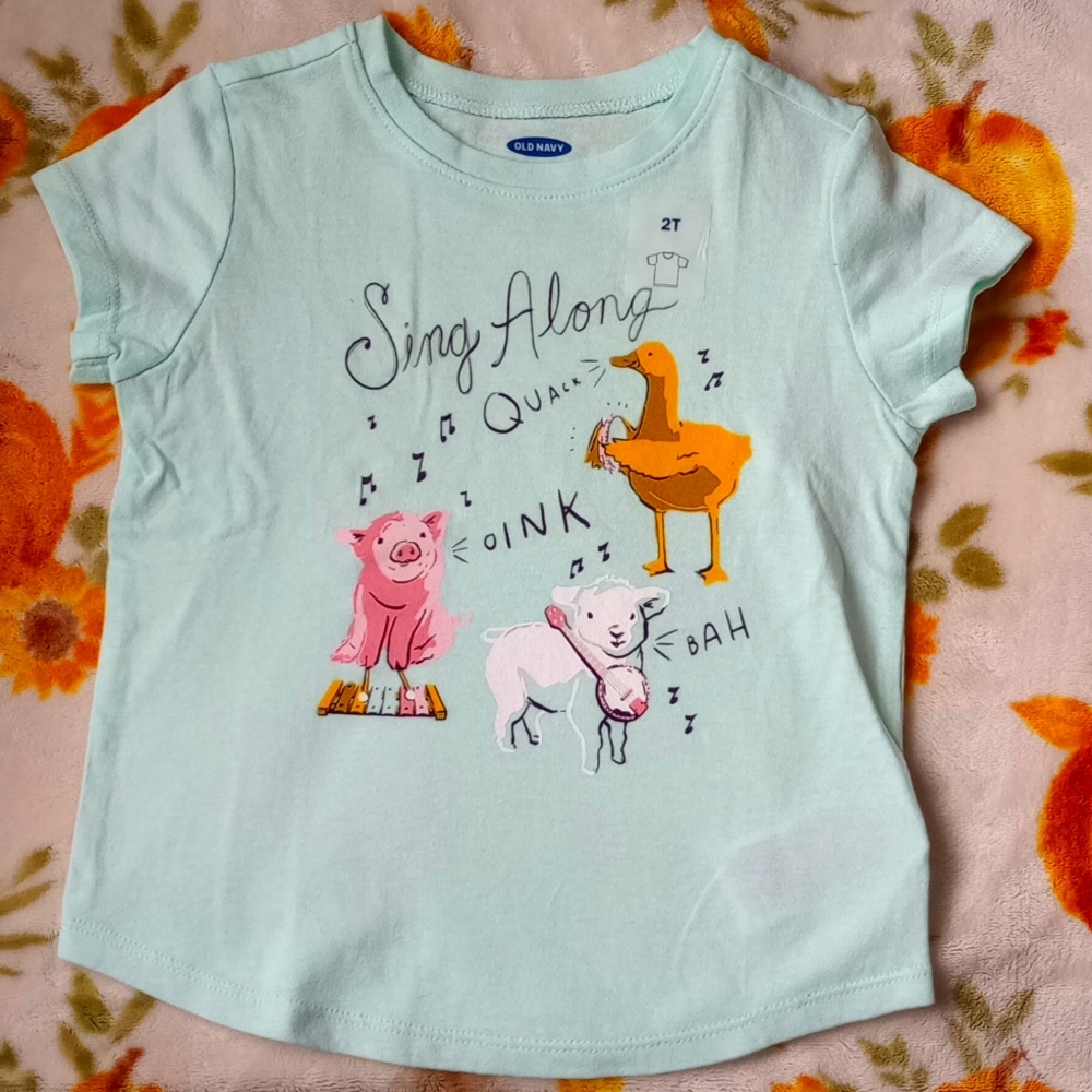 Old Navy 2T Shirt Sleeve